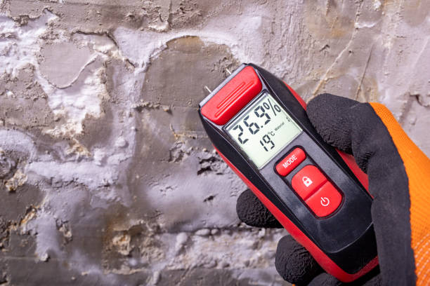 Best Mold Remediation  in Layhill, MD