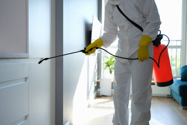 Best Commercial Mold Removal  in Layhill, MD
