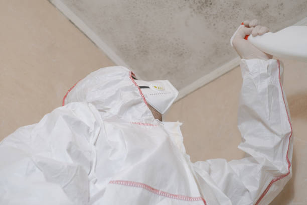 Best Mold Testing  in Layhill, MD